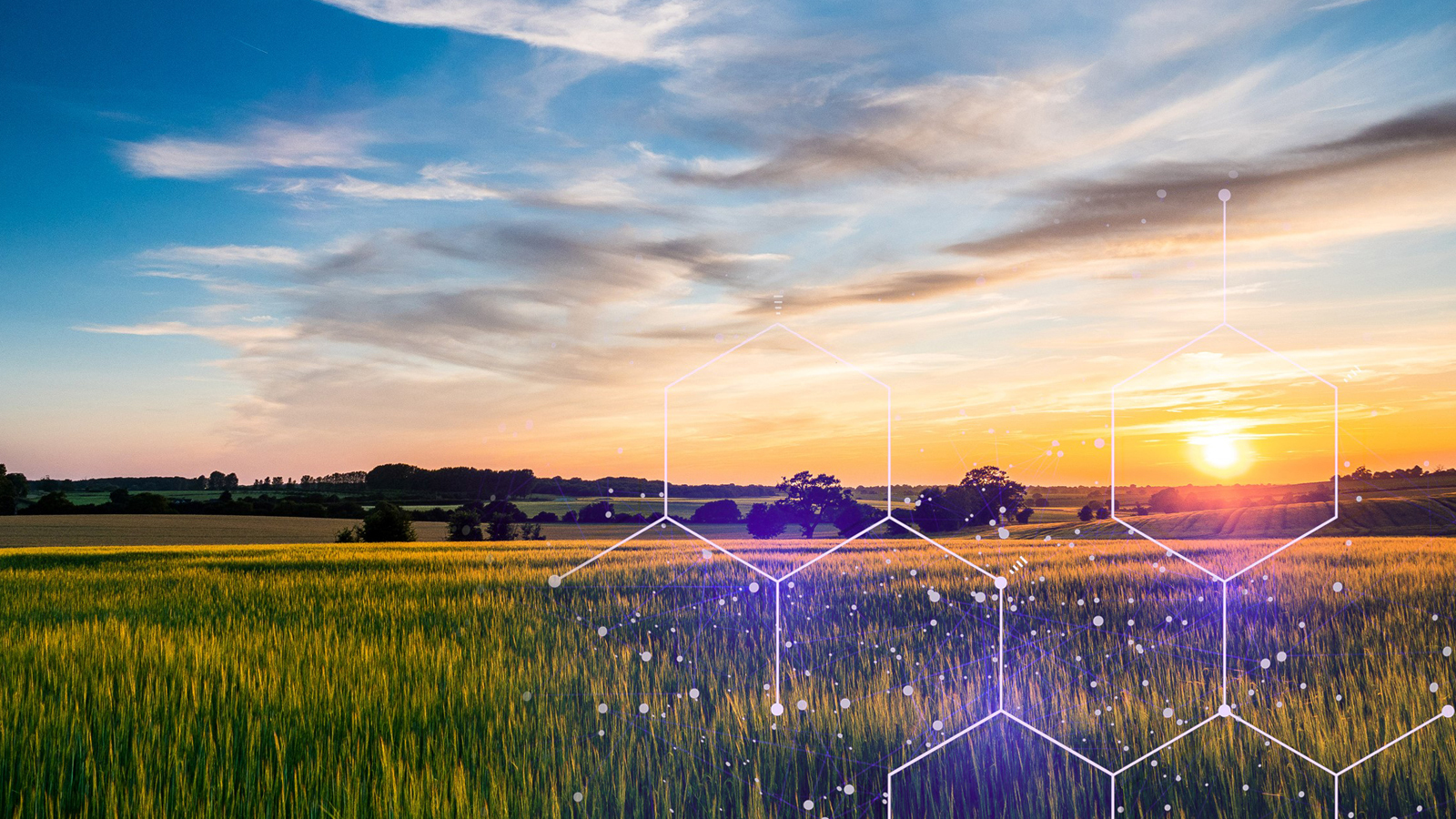 Excelerate® friction reducers