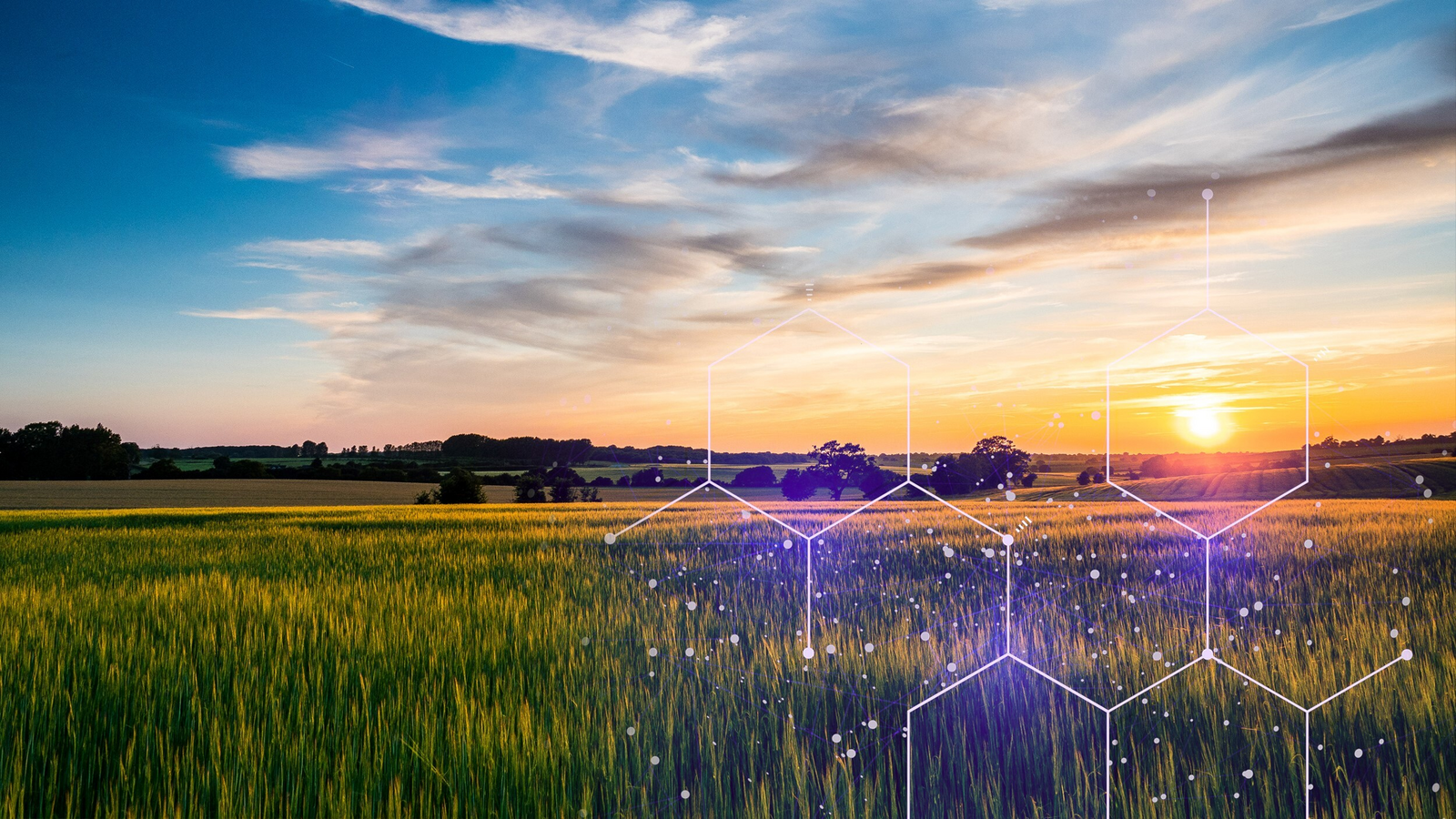 Green fields with overlaid digital graphic.